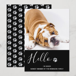 Anúncio da "Puppy" - Novo Pet Negra Elegante