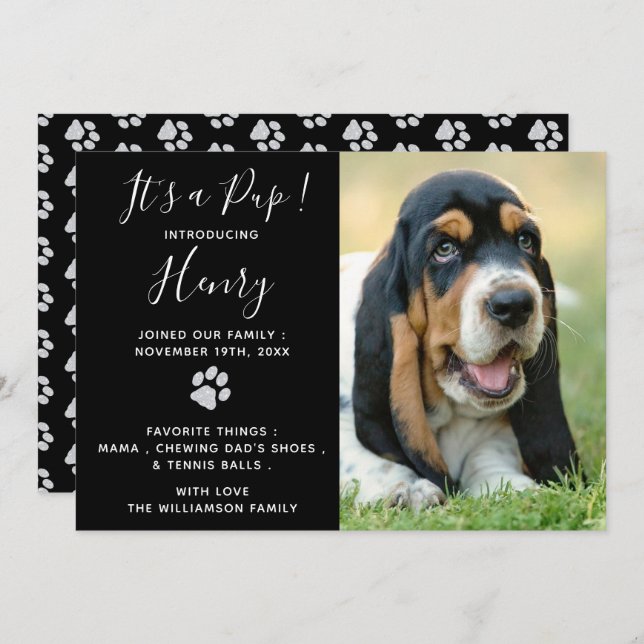 Anúncio da "Puppy" - Preto Elegante Novo Pet (Frente/Verso)