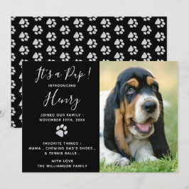 Anúncio da "Puppy" - Preto Elegante Novo Pet