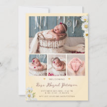 Daisy Wildflower Dando boas-vindas à recém-nascida