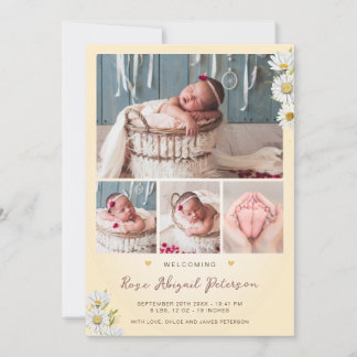 Anúncio Daisy Wildflower Dando boas-vindas à recém-nascida