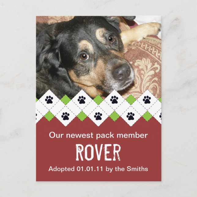 Anúncio de Adoção de Cão/Filhote (Frente)