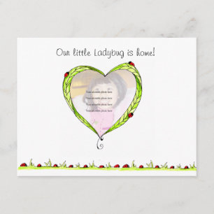 Anúncio de Adoção Ladybug