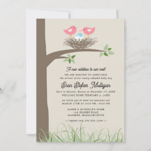 Anúncio de adoção Ninho de Pássaro