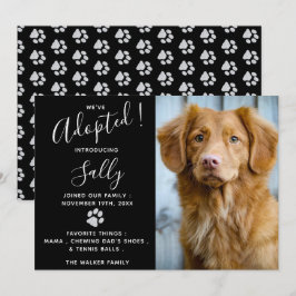 Anúncio de Adoção Pet - Novo Pet Moderno Elegante