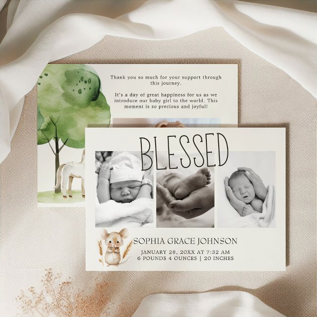 Anúncio de Bebê Animais da Fazendinha (Criador carregado)