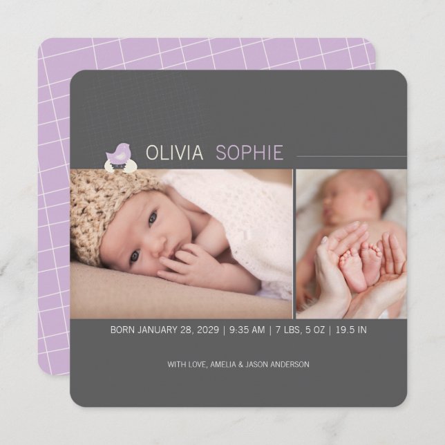 Anúncio de bebê de foto de Pintinho de ovo (Frente/Verso)