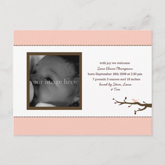 Anúncio de Bebê Passarinho Rosa (Frente)