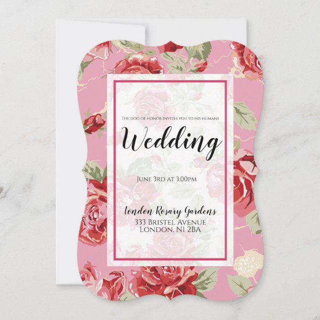 Anúncio de cão de honra com estampa clássica de ro (Frente)