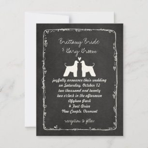 Anúncio de Casamento de Afghan Hounds
