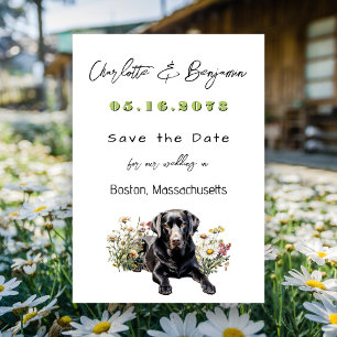 Anúncio de casamento do Black Lab para salvar a da