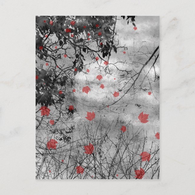 Anúncio de casamento do Red Letter Day (Frente)