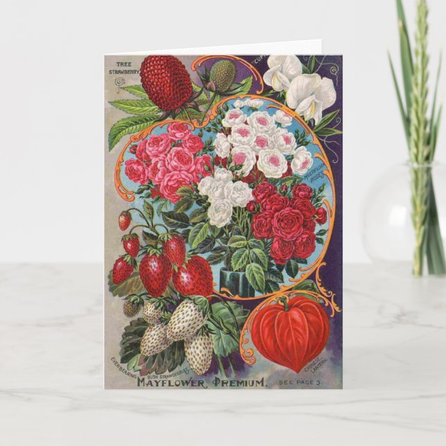 Anúncio de colheita para pacotes de sementes, (Frente)