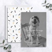 Anúncio de Foto de Adoção de Pet Recuperada