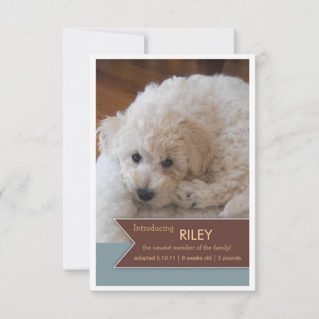 Anúncio de Foto do Novo Banner Marrom de Foto Pet  (Frente)