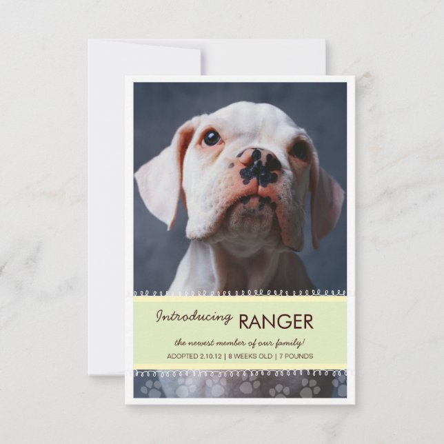 Anúncio de Foto em Banner Verde Pet (Frente)