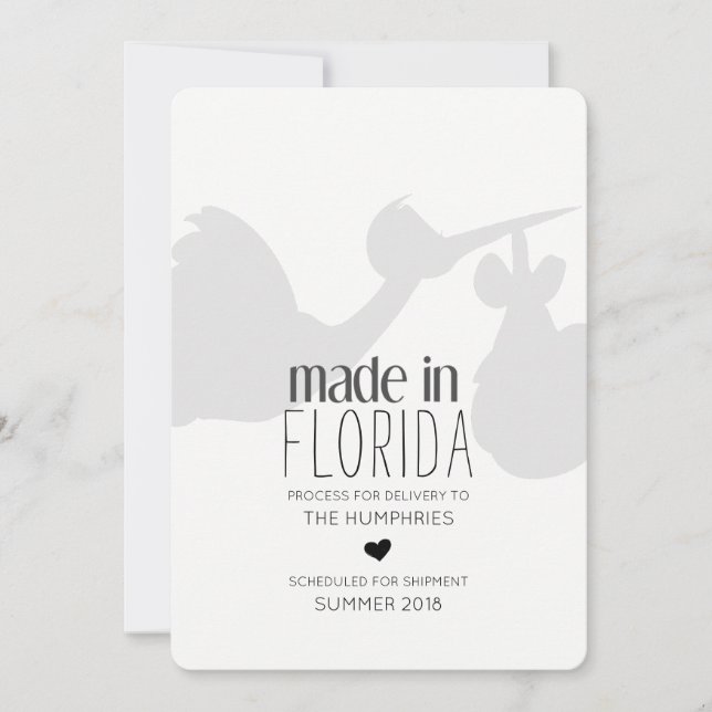 Anúncio de Gravidez de Entrega de Stork Engraçado (Frente)