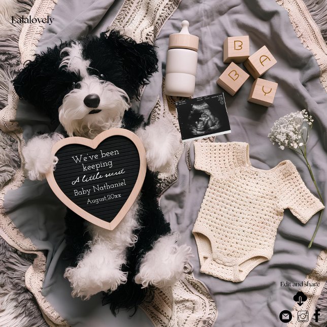 Anúncio de gravidez de filhotes (Criador carregado)