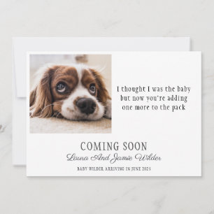 Anúncio de Gravidez de Foto de Cachorro Engraçad