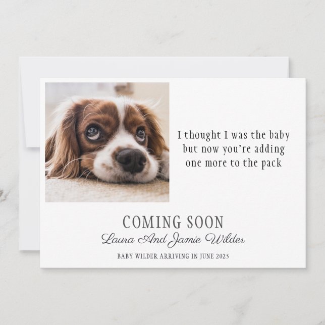 Anúncio de Gravidez de Foto de Cachorro Engraçado (Frente)