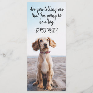 Anúncio de gravidez do Big Brother/Irmã