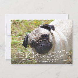 Anúncio de gravidez do Big Brother Photo Pet