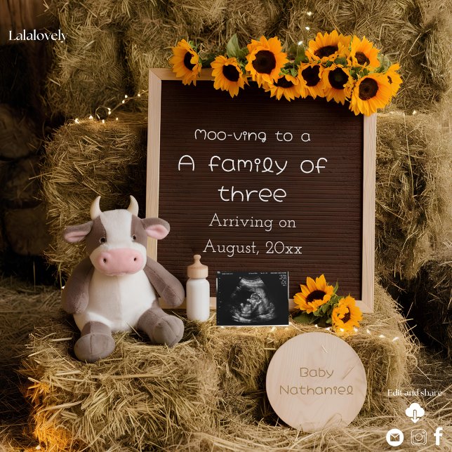 Anúncio de gravidez no estilo do país (Criador carregado)