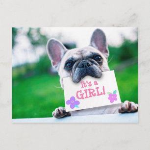 Anúncio De Menina Com Personalidade De Cachorro