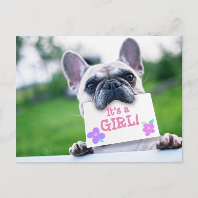 Anúncio De Menina Com Personalidade De Cachorro (Frente)