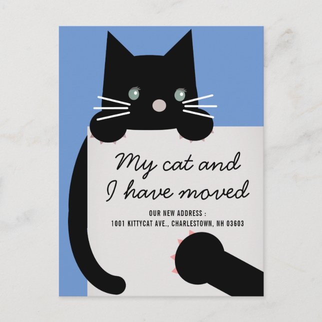 Anúncio de Movimentação Azul de Gato Preto (Frente)