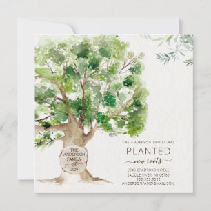 Anúncio de Movimentação da Árvore de Carvalho 