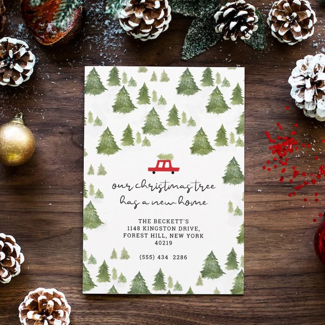 Anúncio de Movimentação da Árvore de Natal (Criador carregado)