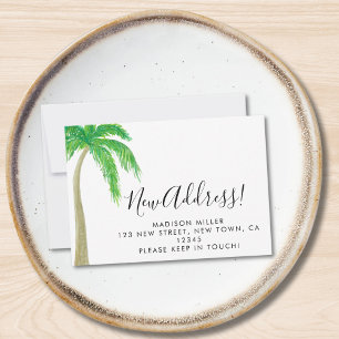 Anúncio de Movimentação da Árvore de Palma do Novo