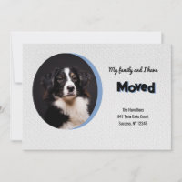 Anúncio de Movimentação de Fotografias de Cachorro