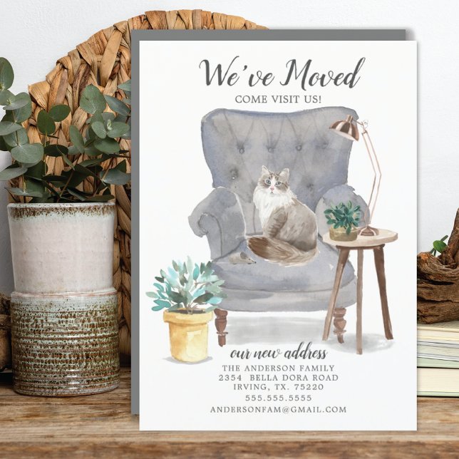 Anúncio de Movimentação de Gato Siberiano (Criador carregado)