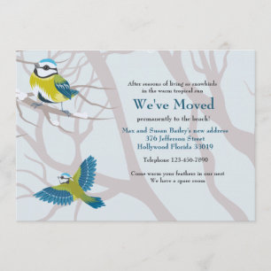 Anúncio de Movimentação de Pássaros de Neve