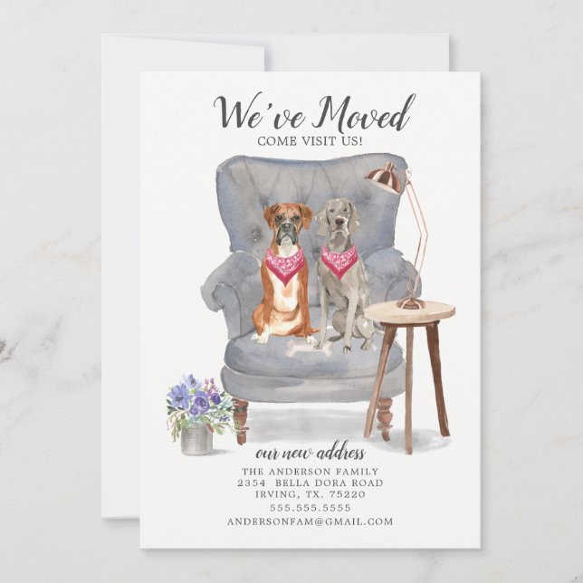 Anúncio de Movimentação do Cachorro Boxer e Weimar (Frente)