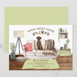 Anúncio de Movimentação do Cachorro do Brown Labra