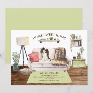 Anúncio de Movimentação do Rei Charles Spaniel Tri