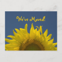 Anúncio de Mudança de Endereço Sunflower Rising