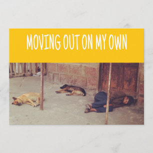 Anúncio de Mudança (Homem e cachorros na rua)