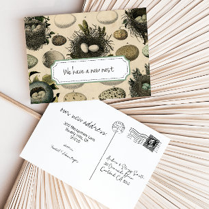 Anúncio de Mudança Personalizável // Pássaro Vinta