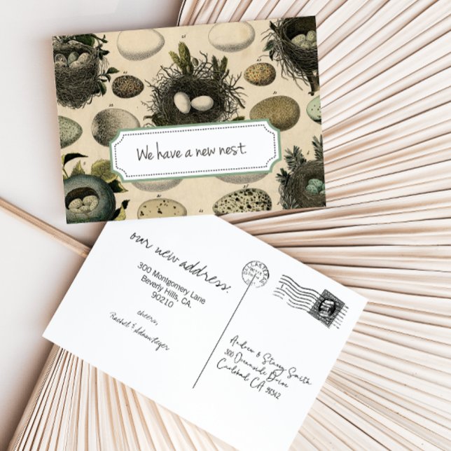 Anúncio de Mudança Personalizável // Pássaro Vinta (Criador carregado)