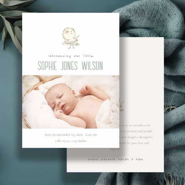 Anúncio de Nascimento da Foto do Pássaro Pastel, E (Criador carregado)