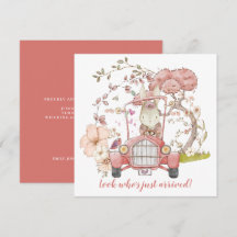 Anúncio de Nascimento da Garota Coelhinha carro vi