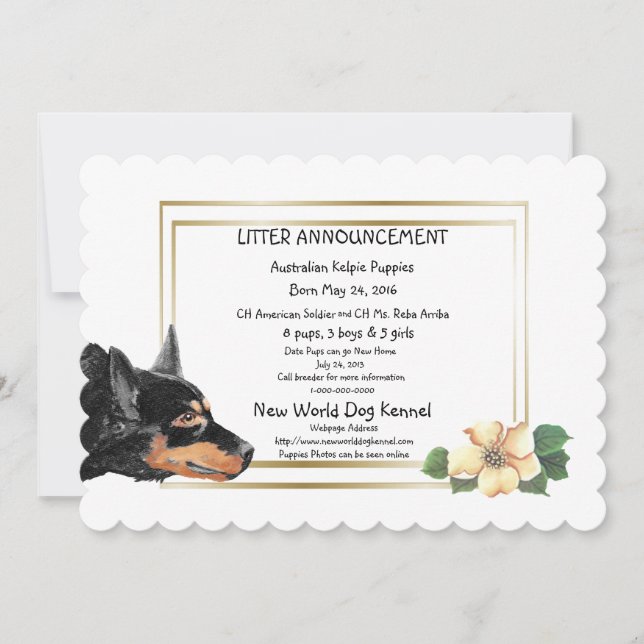 Anúncio de Nascimento das Pinças da Austrália Kelp (Frente)