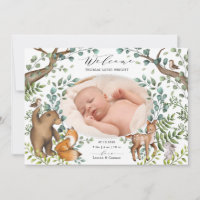 Anúncio de Nascimento de Animais da Floresta Woodl