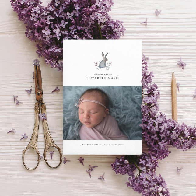 ANÚNCIO DE NASCIMENTO DE BABY | Coelheiro de Aquar (Criador carregado)