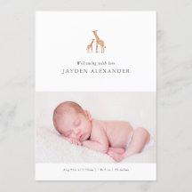 Anúncio de nascimento de Giraffe