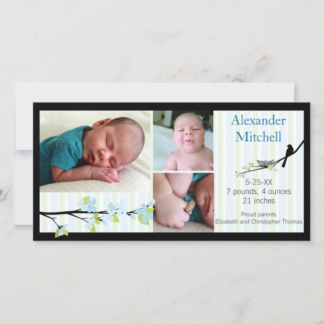 Anúncio de nascimento de pássaros e flores em Blue (Frente)